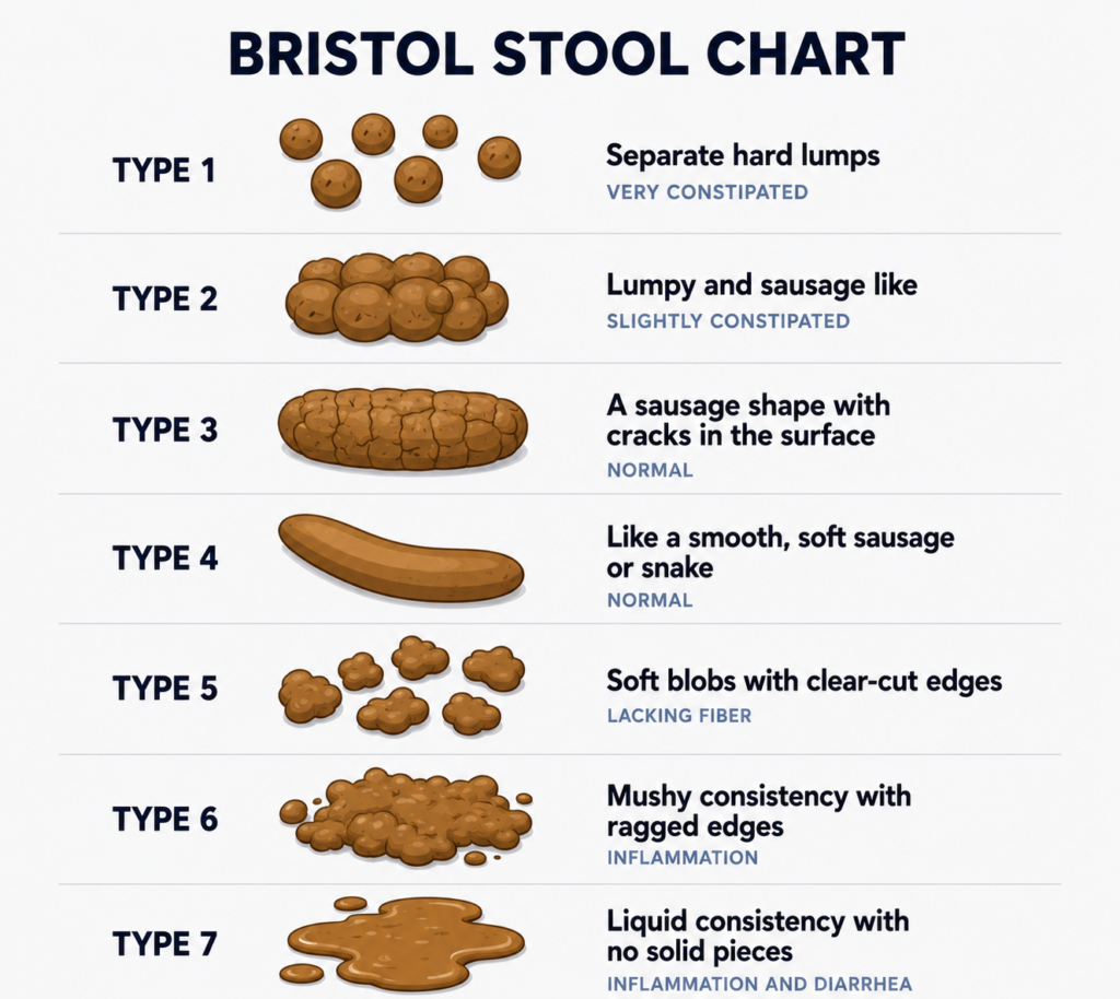 7 TYPES OF STOOL